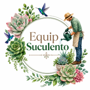 Suculentas
